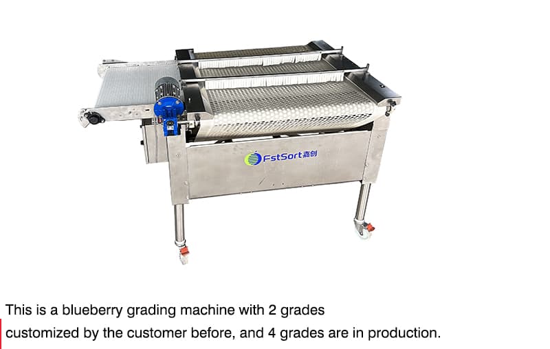 images/blueberry sorting grading machine.jpg